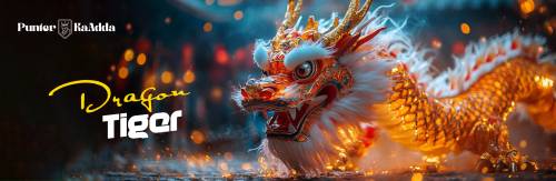 Dragon Tiger ID Provider – Secure & Instant Gaming Access